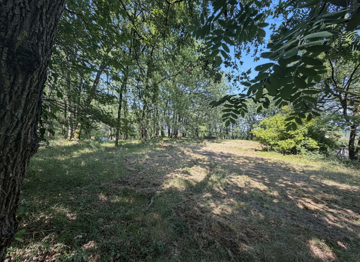 Terrain MONTJOIRE (31380) 2425.00 m&sup2;