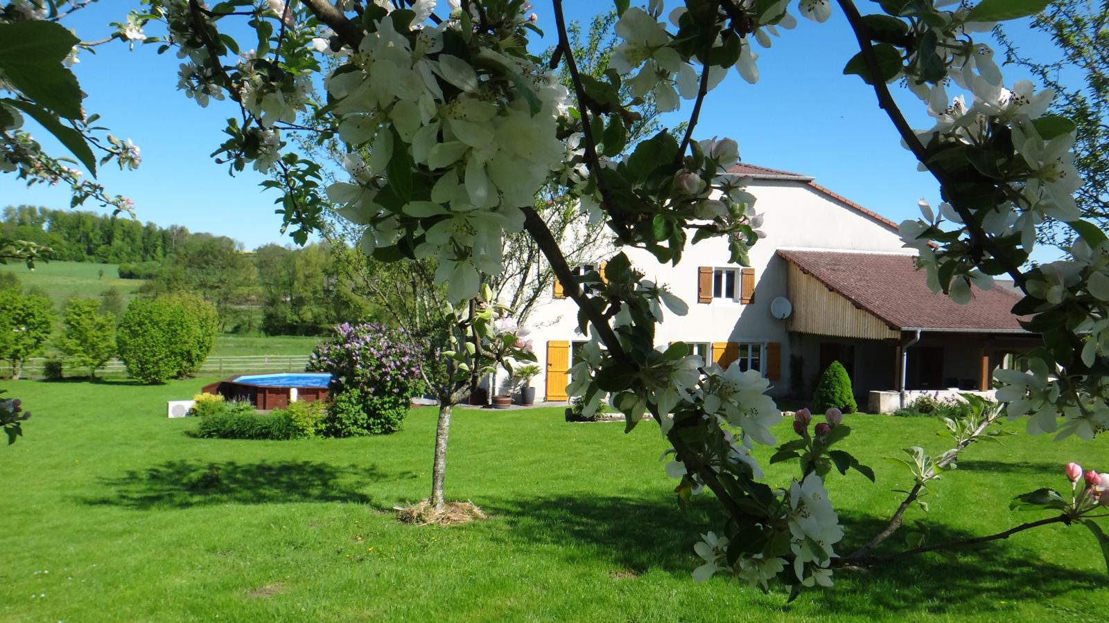 Ferme VILLE SUR ILLON (88270) 8 pièces 227.00 m²