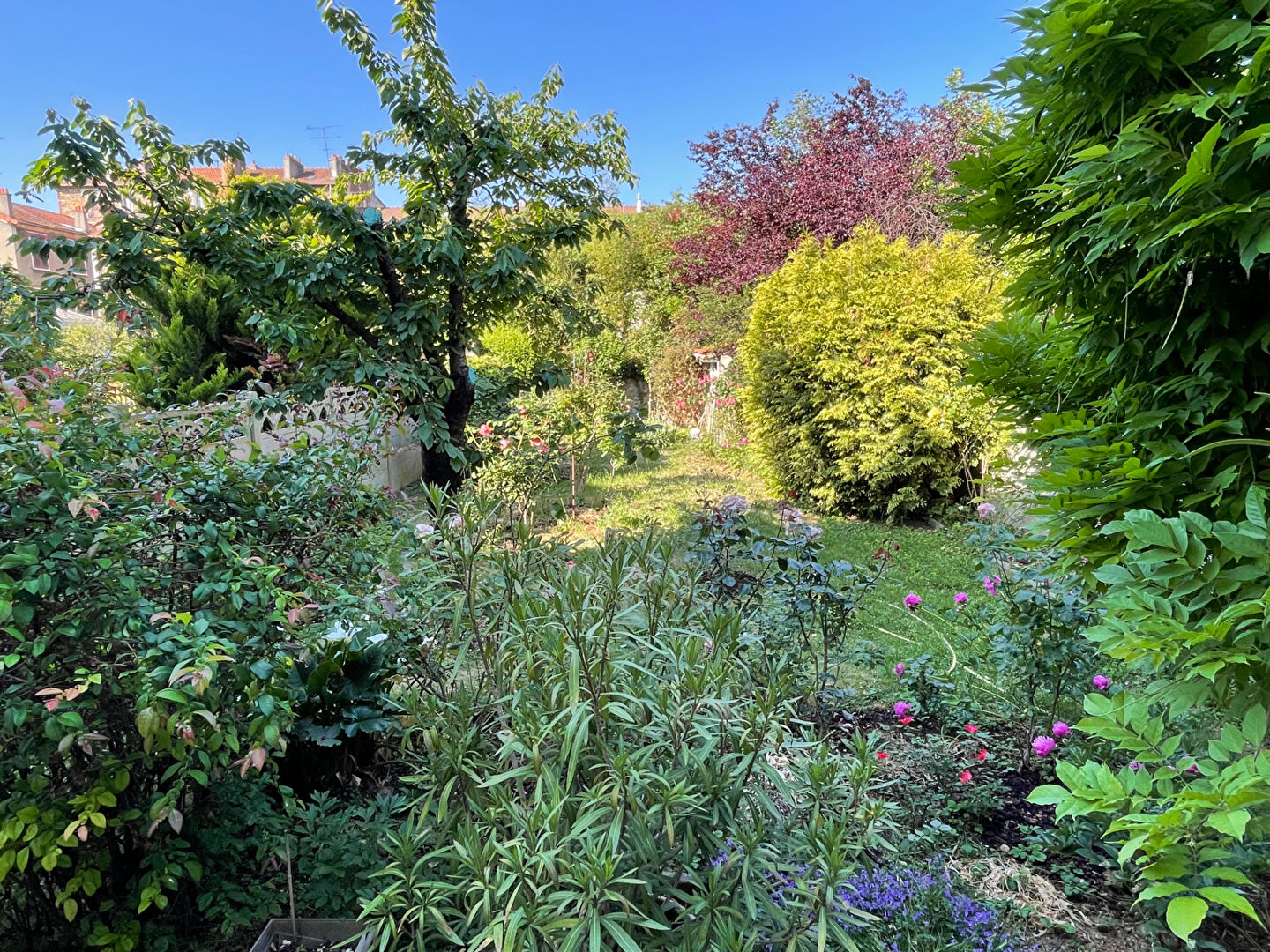 Maison MAISONS ALFORT (94700) 5 pièces 85.87 m²