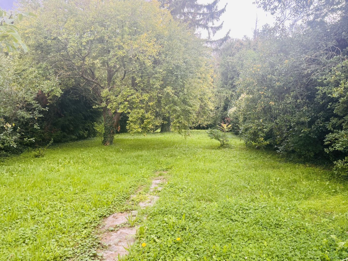 Terrain CLAYE SOUILLY (77410)
