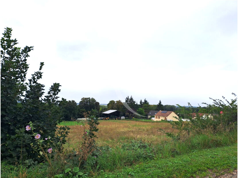 Terrain VINNEUF (89140) 1276.00 m&sup2;