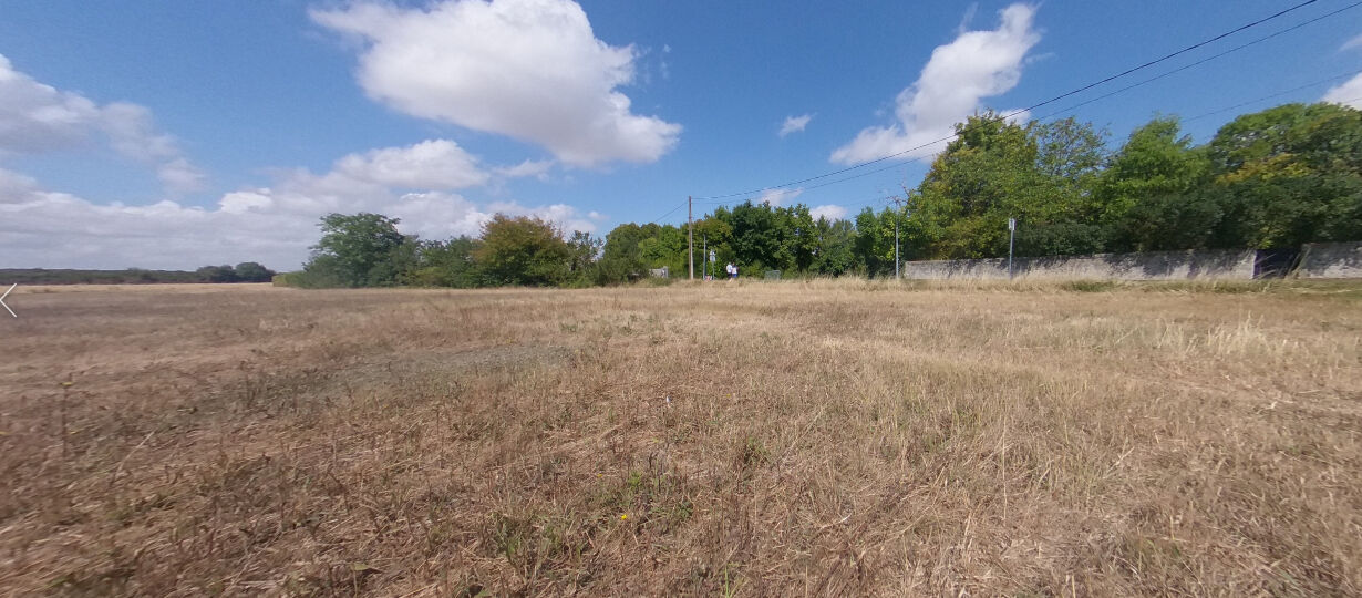 Terrain BEAUMONT DU GATINAIS (77890) 1967.00 m&sup2;