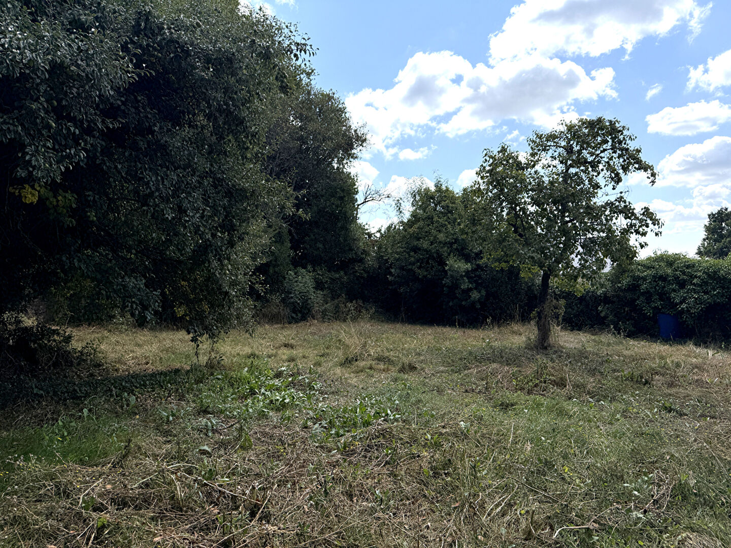 Terrain MOUTIERS LES MAUXFAITS (85540) 479.00 m²