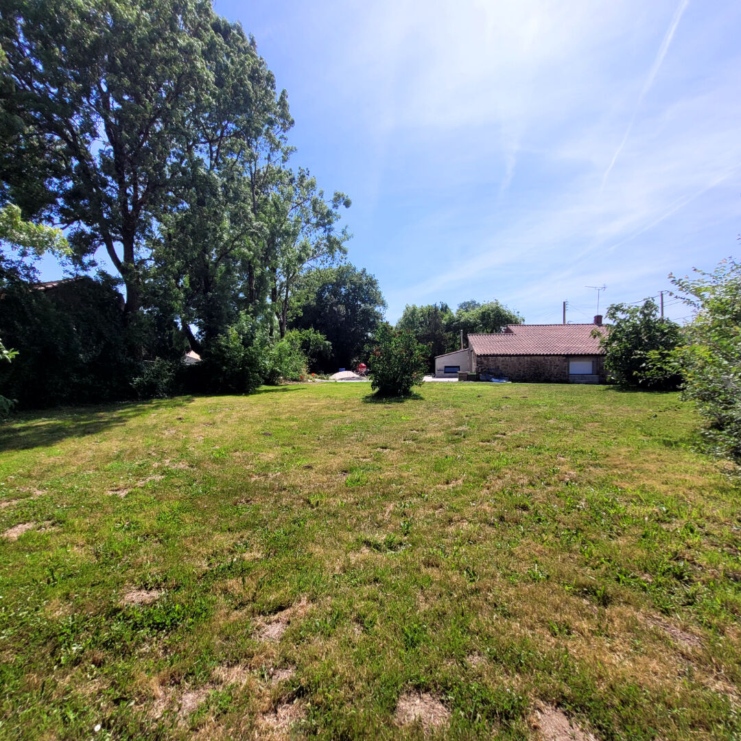 Terrain LE CHAMP SAINT PERE (85540) 451.00 m²
