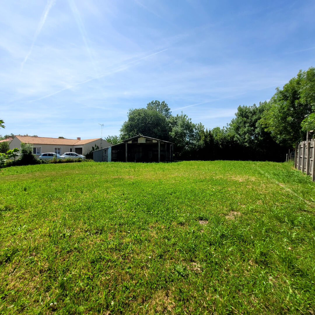 Terrain LE CHAMP SAINT PERE (85540) 736.00 m²