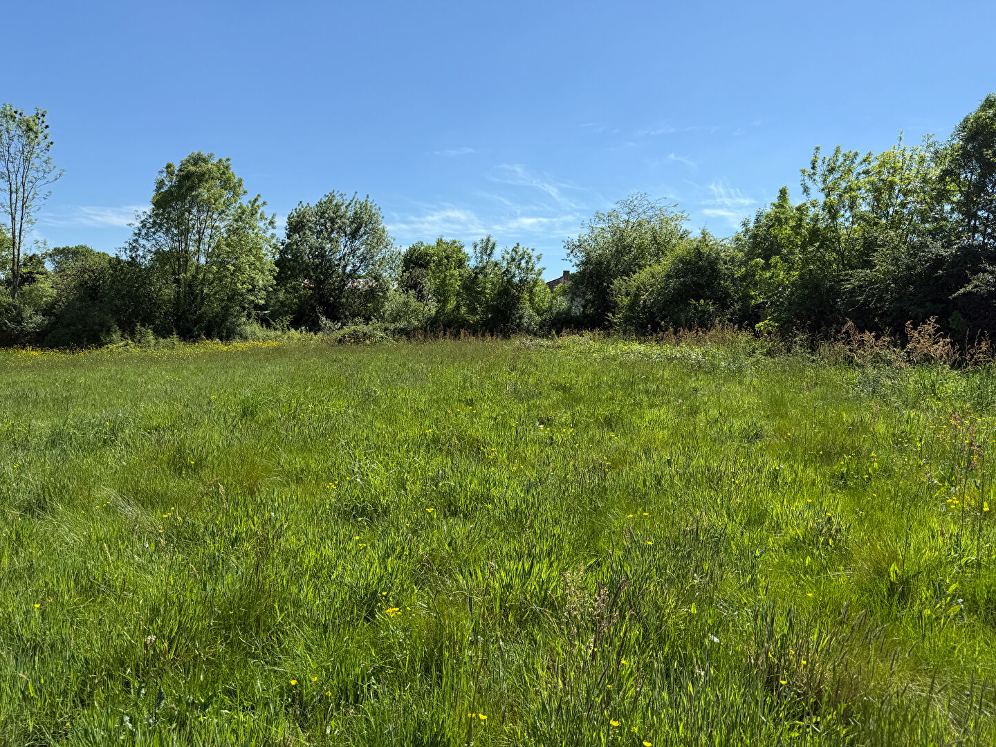 Terrain LE GIVRE (85540) 947.00 m²
