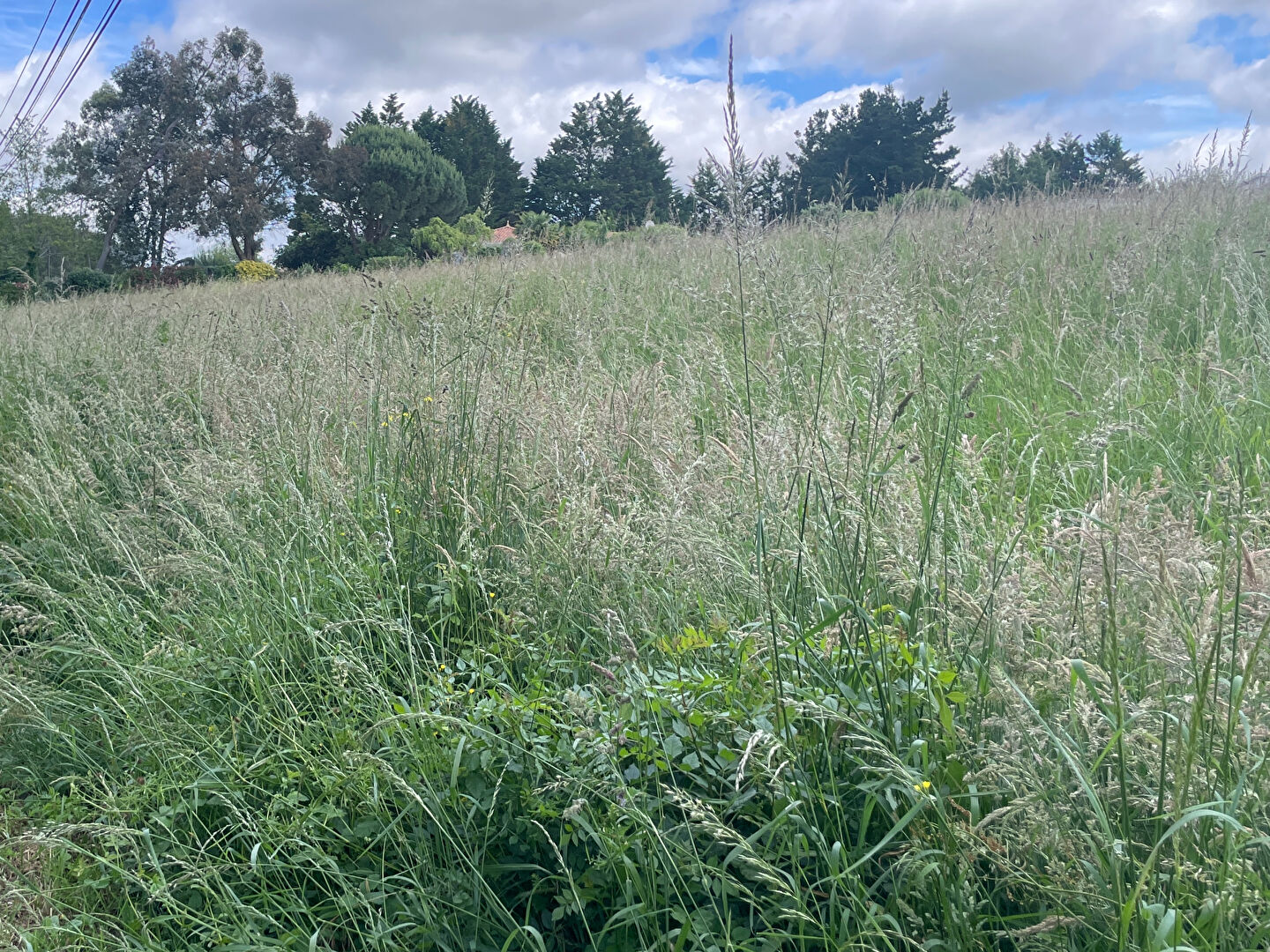 Terrain MOUTIERS LES MAUXFAITS (85540) 456.00 m²