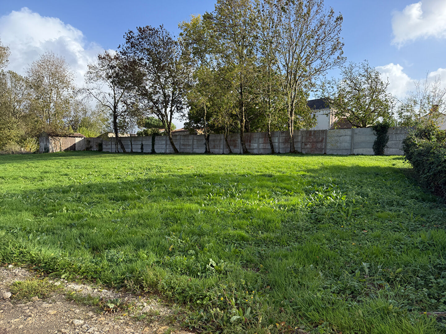 Terrain LA JONCHERE (85540) 495.00 m²
