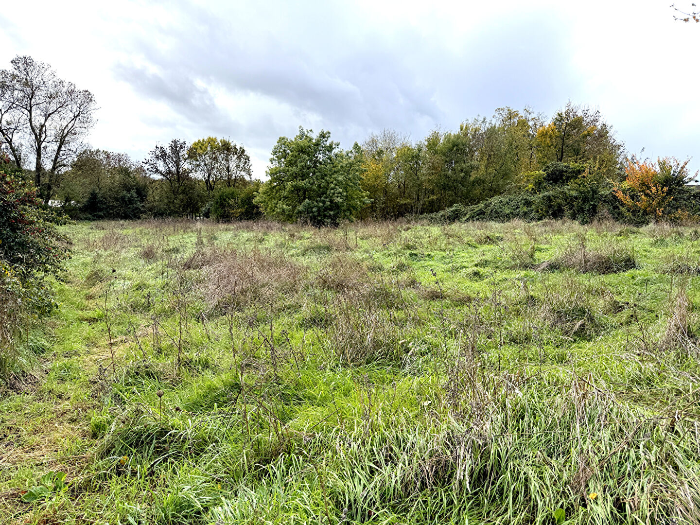 Terrain SAINT CYR EN TALMONDAIS (85540) 1500.00 m²