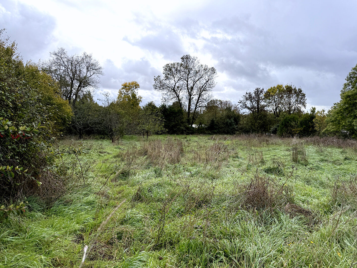 Terrain SAINT CYR EN TALMONDAIS (85540) 1800.00 m²