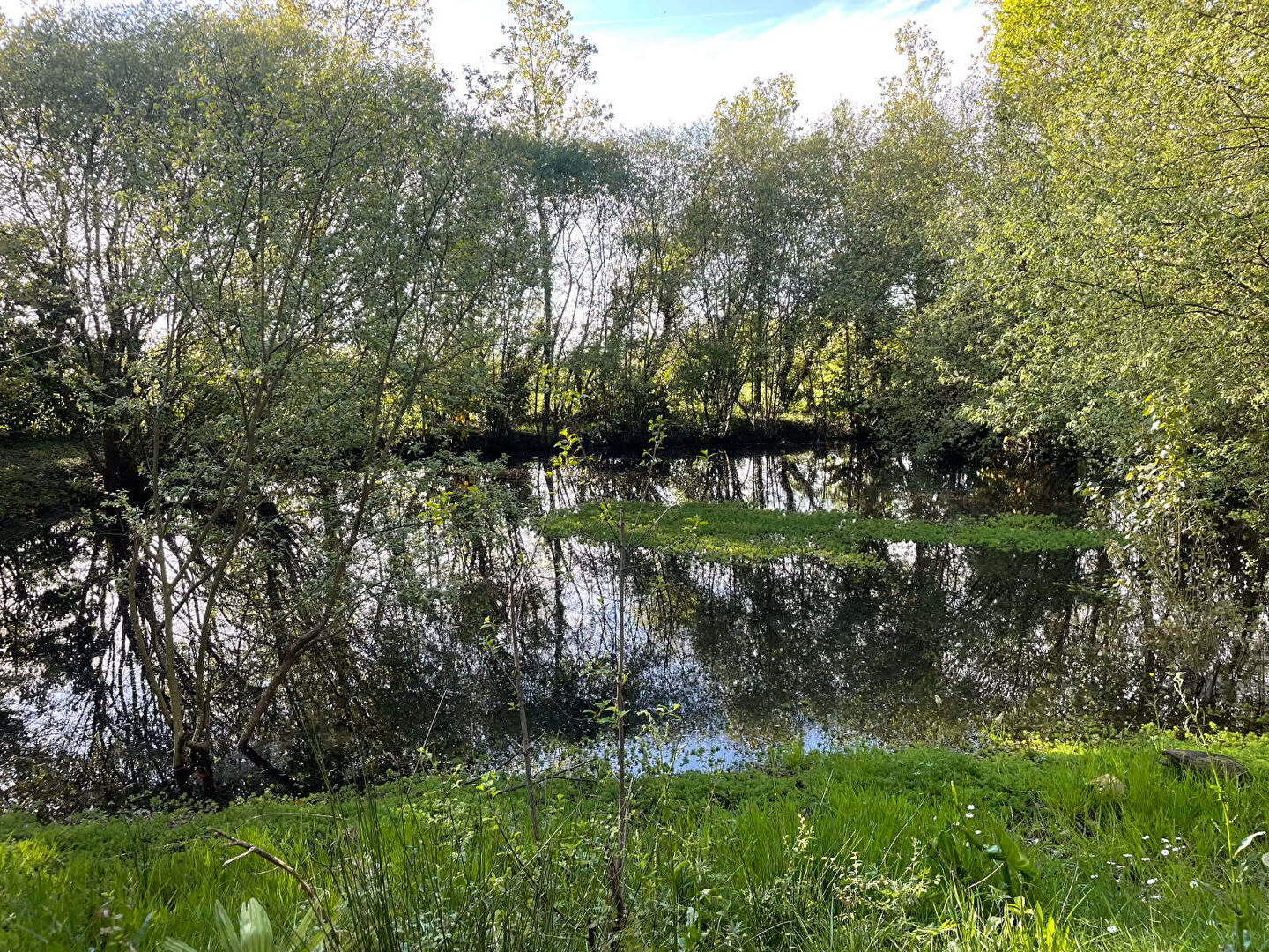 Terrain de loisirs NIEUL LE DOLENT (85430)