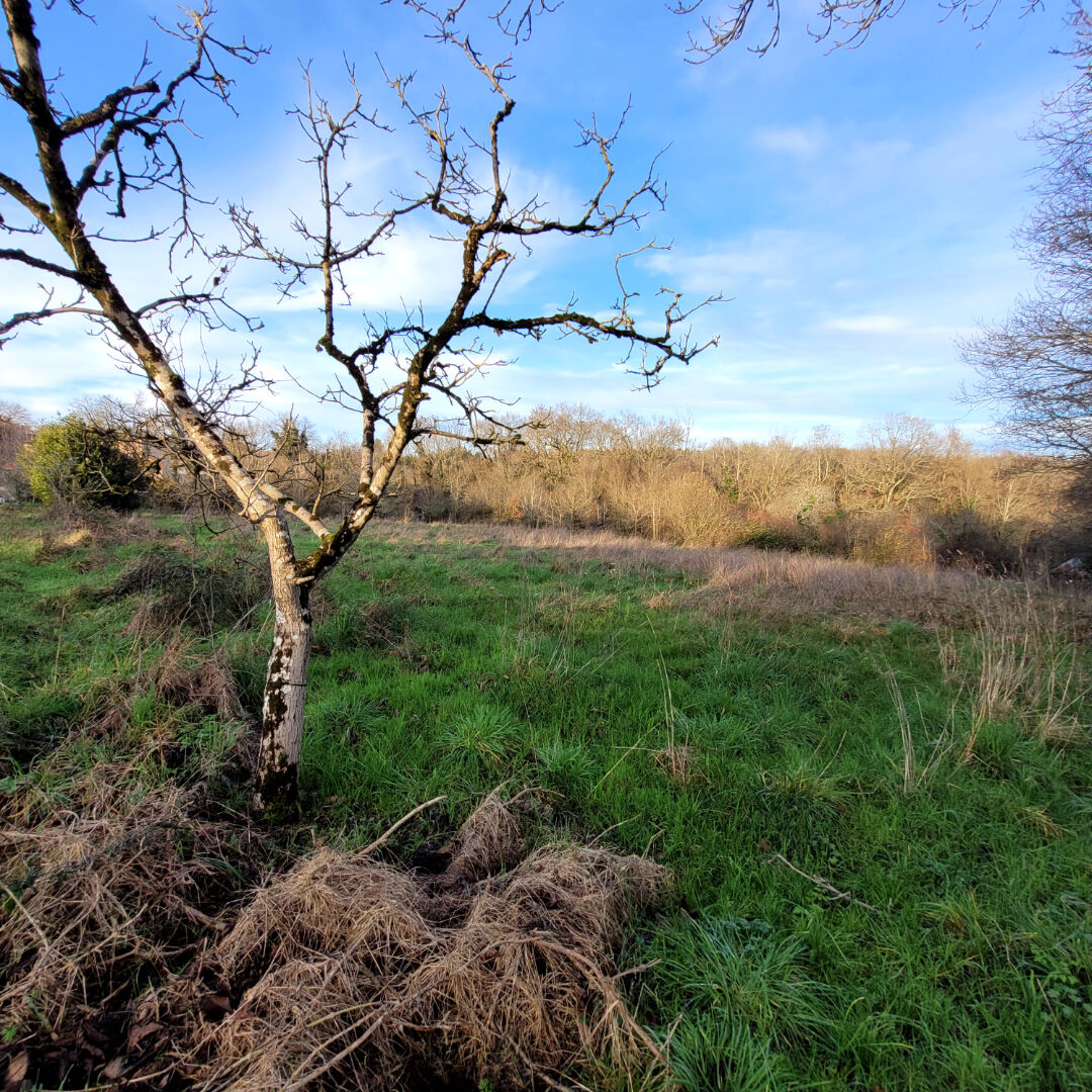 Terrain de loisirs LE CHAMP SAINT PERE (85540)