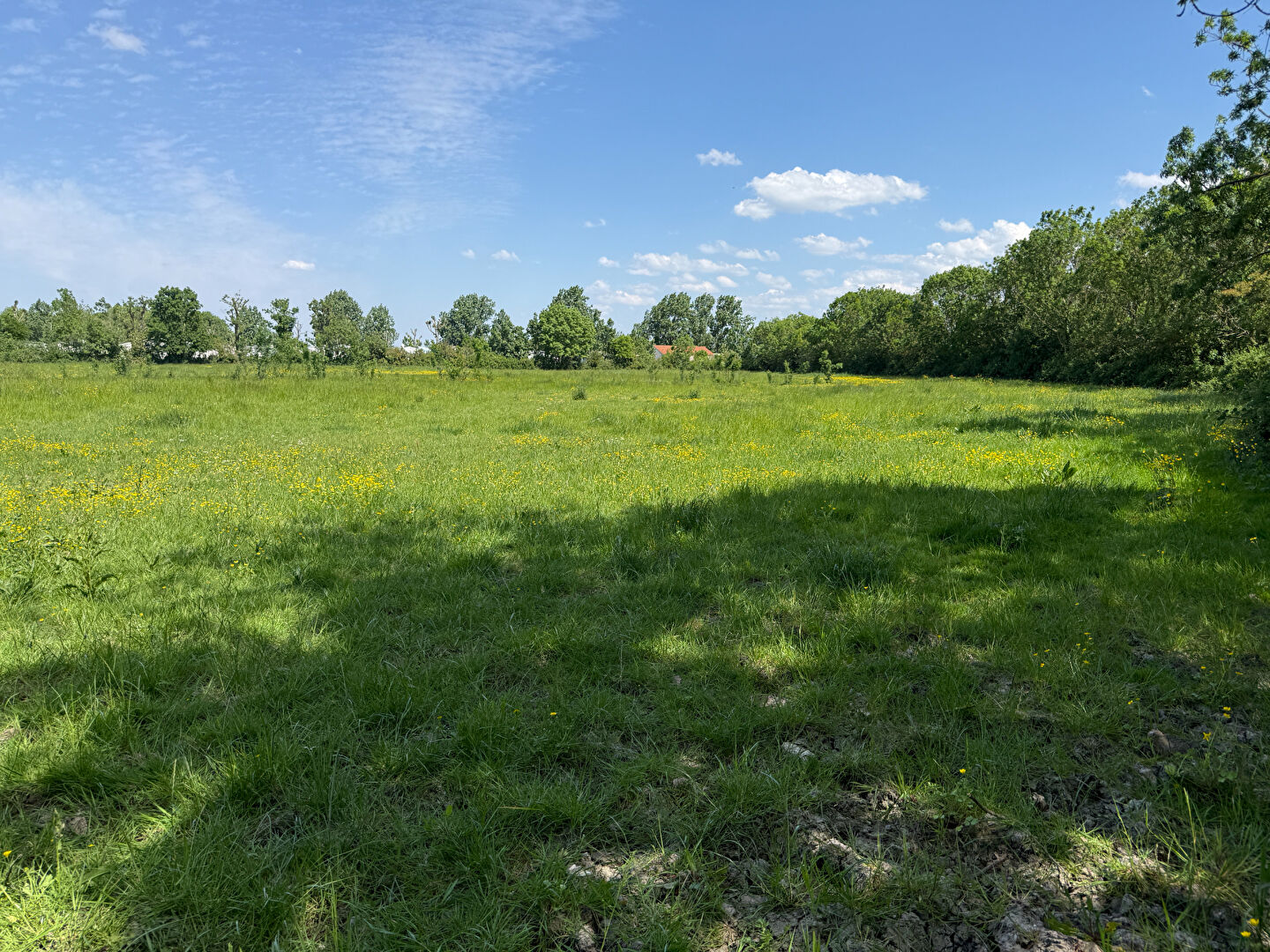 Terrain ANGLES (85750) 17163.00 m&sup2;