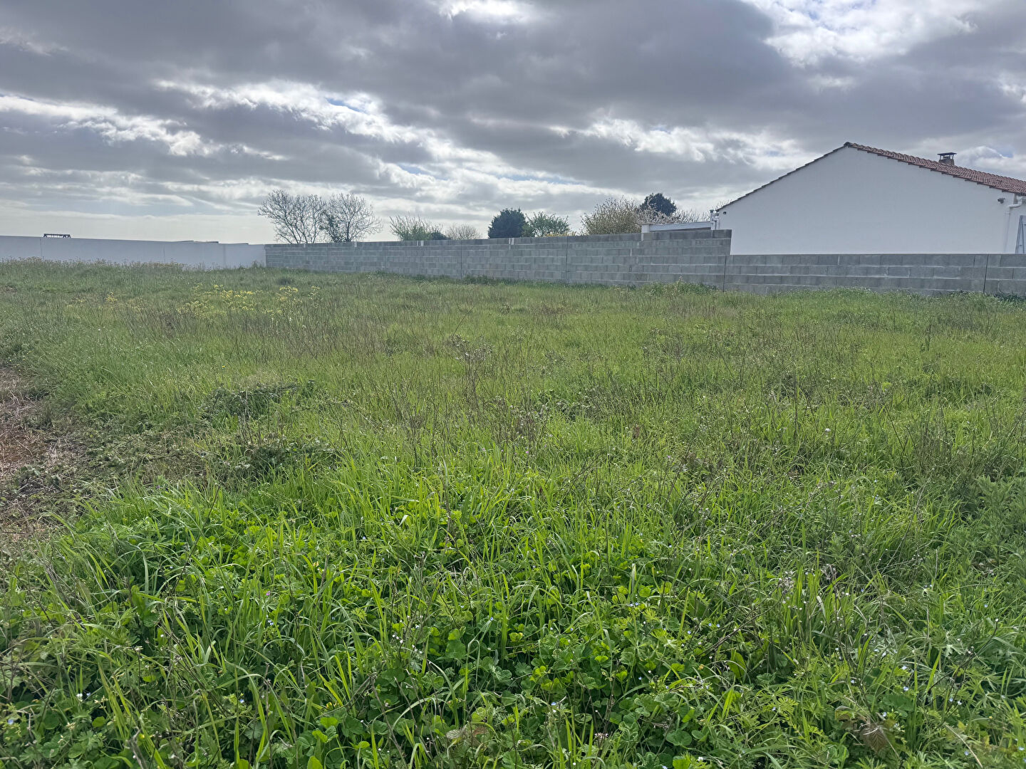 Terrain ANGLES (85750) 550.00 m&sup2;