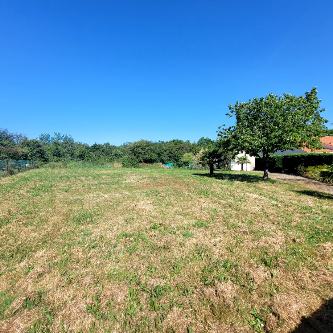 Terrain SAINT AVAUGOURD DES LANDES (85540) 824.00 m&sup2;