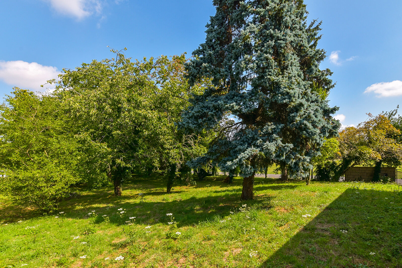 Terrain BLANDY (77115) 437.00 m²