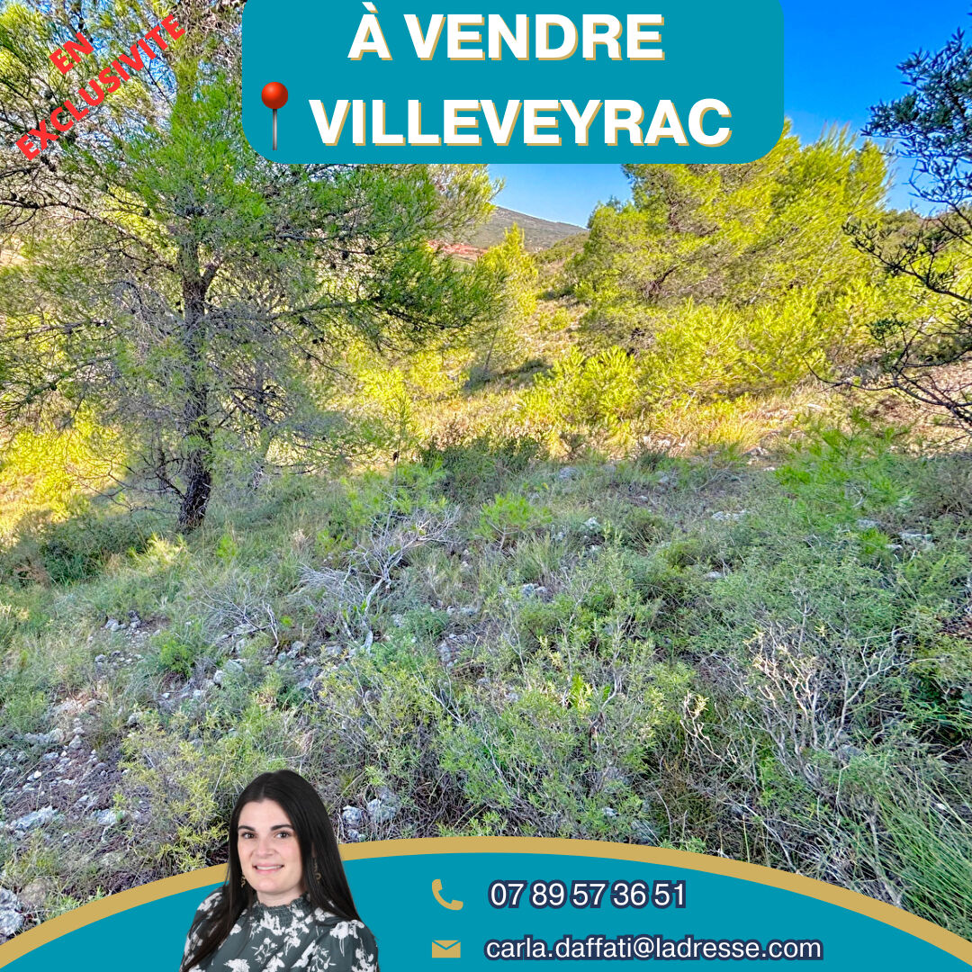 Terrain de loisirs VILLEVEYRAC (34560)
