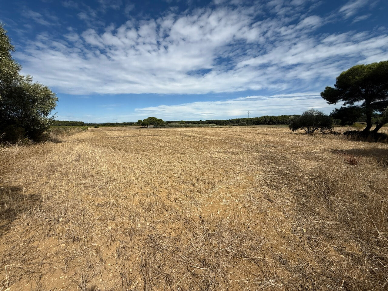 Terrain MONTAGNAC (34530) 4080.00 m²