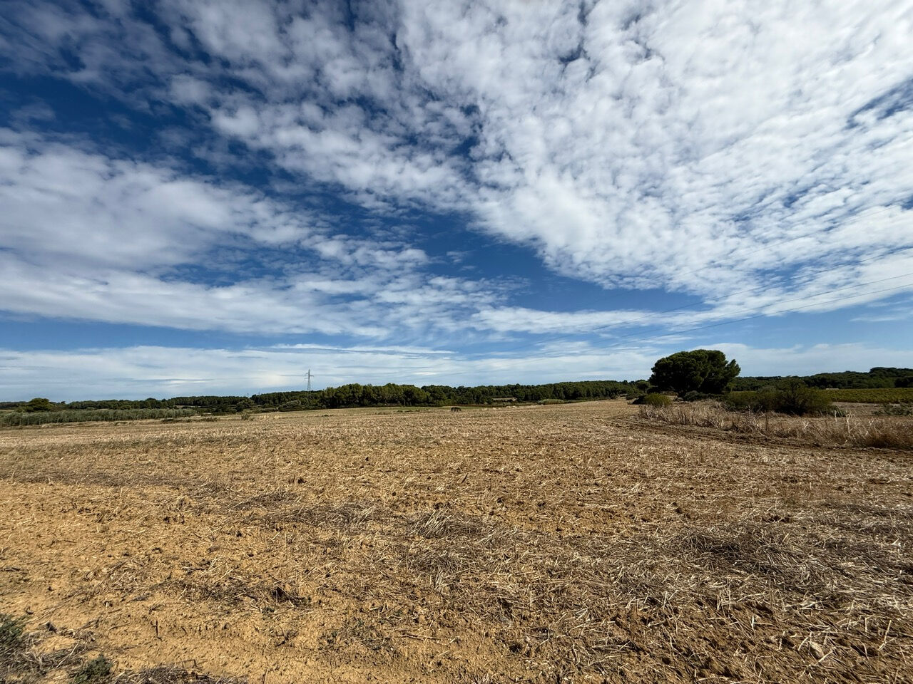 Terrain MONTAGNAC (34530) 21520.00 m²