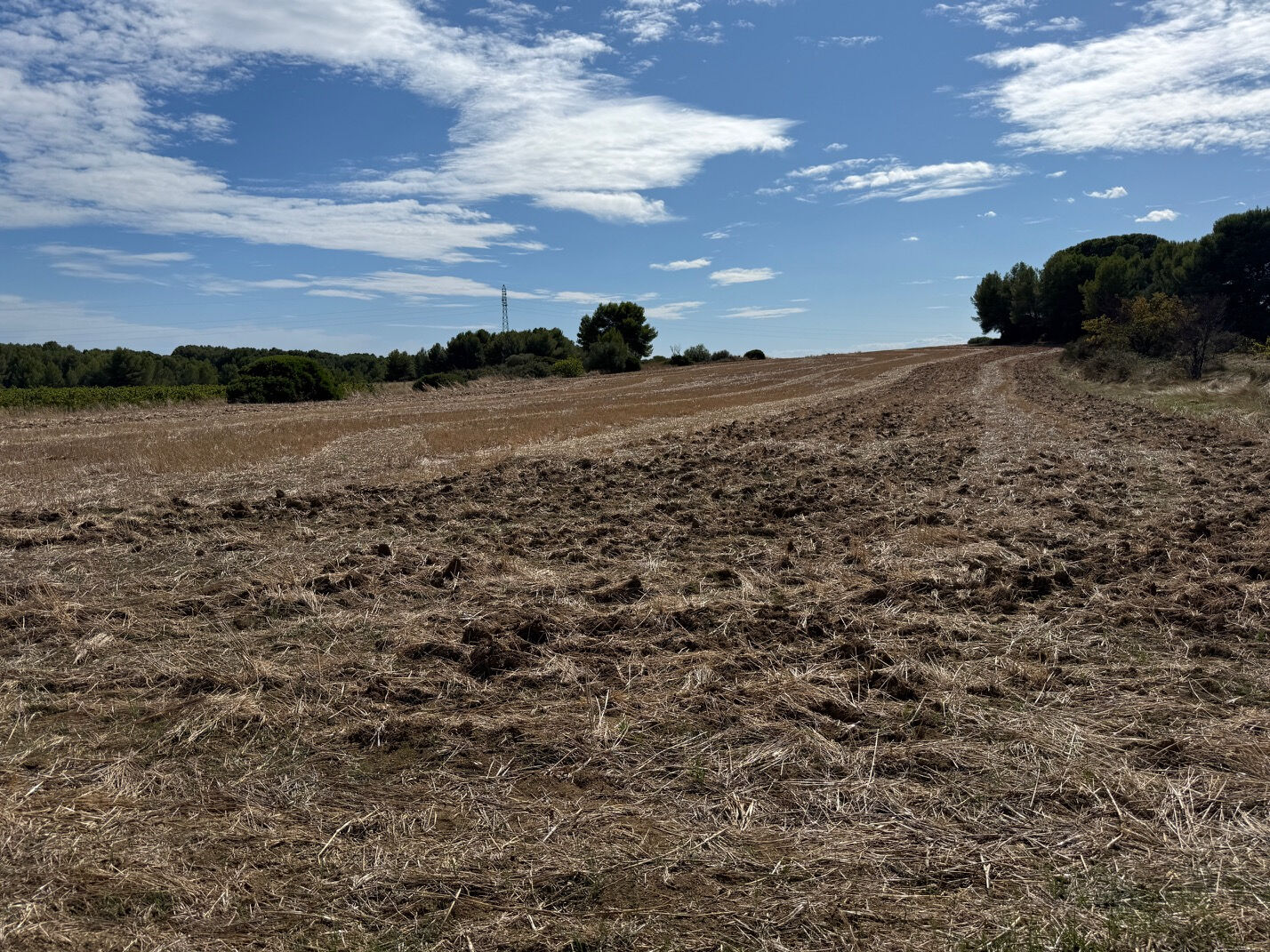 Terrain MONTAGNAC (34530) 22780.00 m²