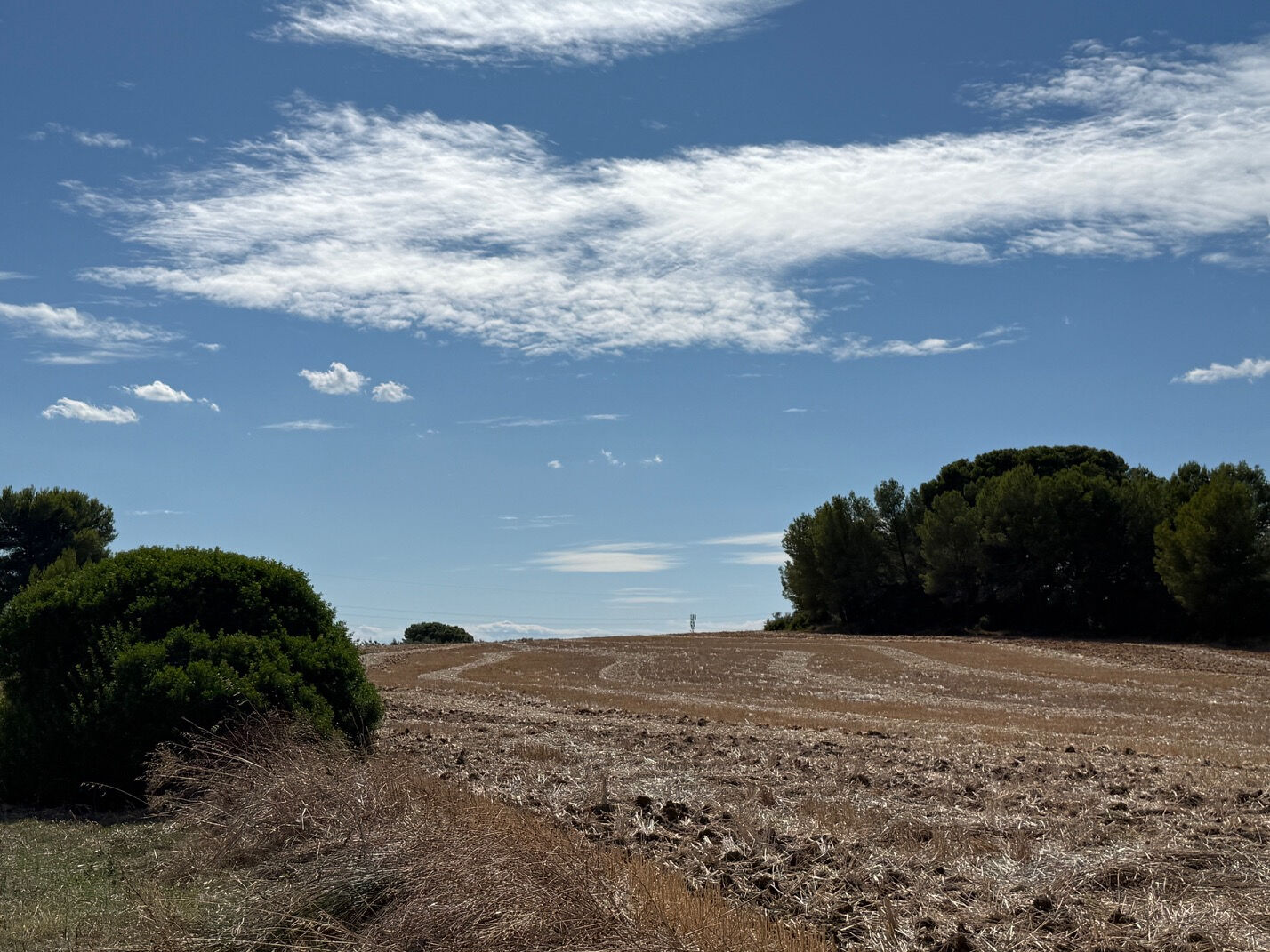 Terrain MONTAGNAC (34530) 19700.00 m²