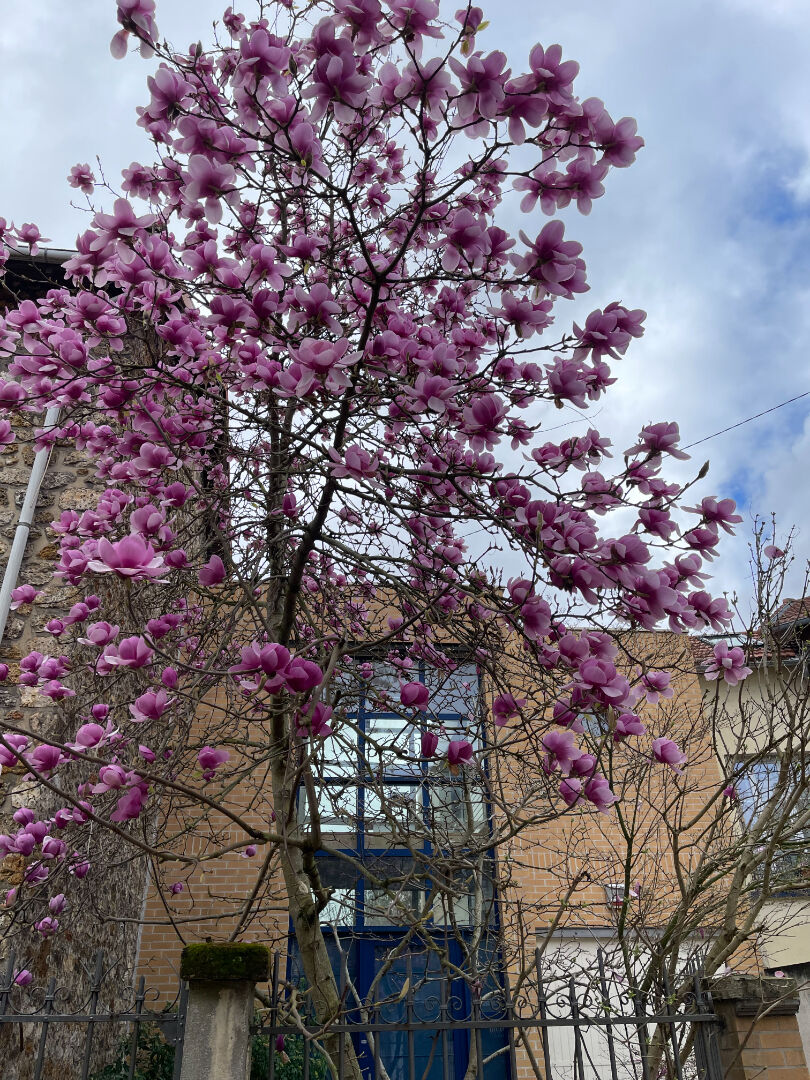 Maison CLAMART (92140) 6 pi&egrave;ces 176.25 m&sup2;