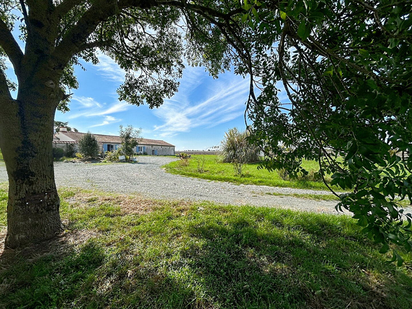Maison CHAILLE LES MARAIS (85450) 6 pi&egrave;ces 163.00 m&sup2;