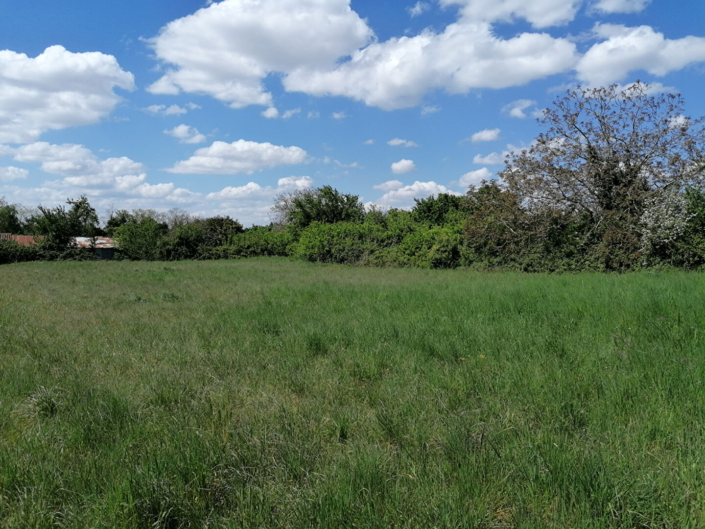 Terrain NALLIERS (85370) 1224.00 m²