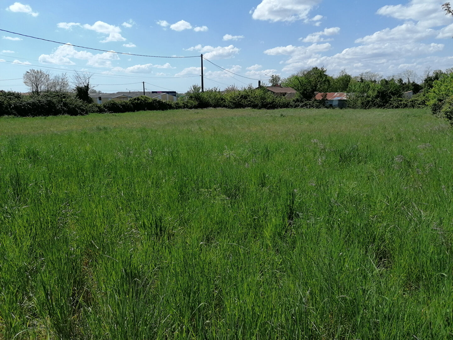 Terrain NALLIERS (85370) 1236.00 m²