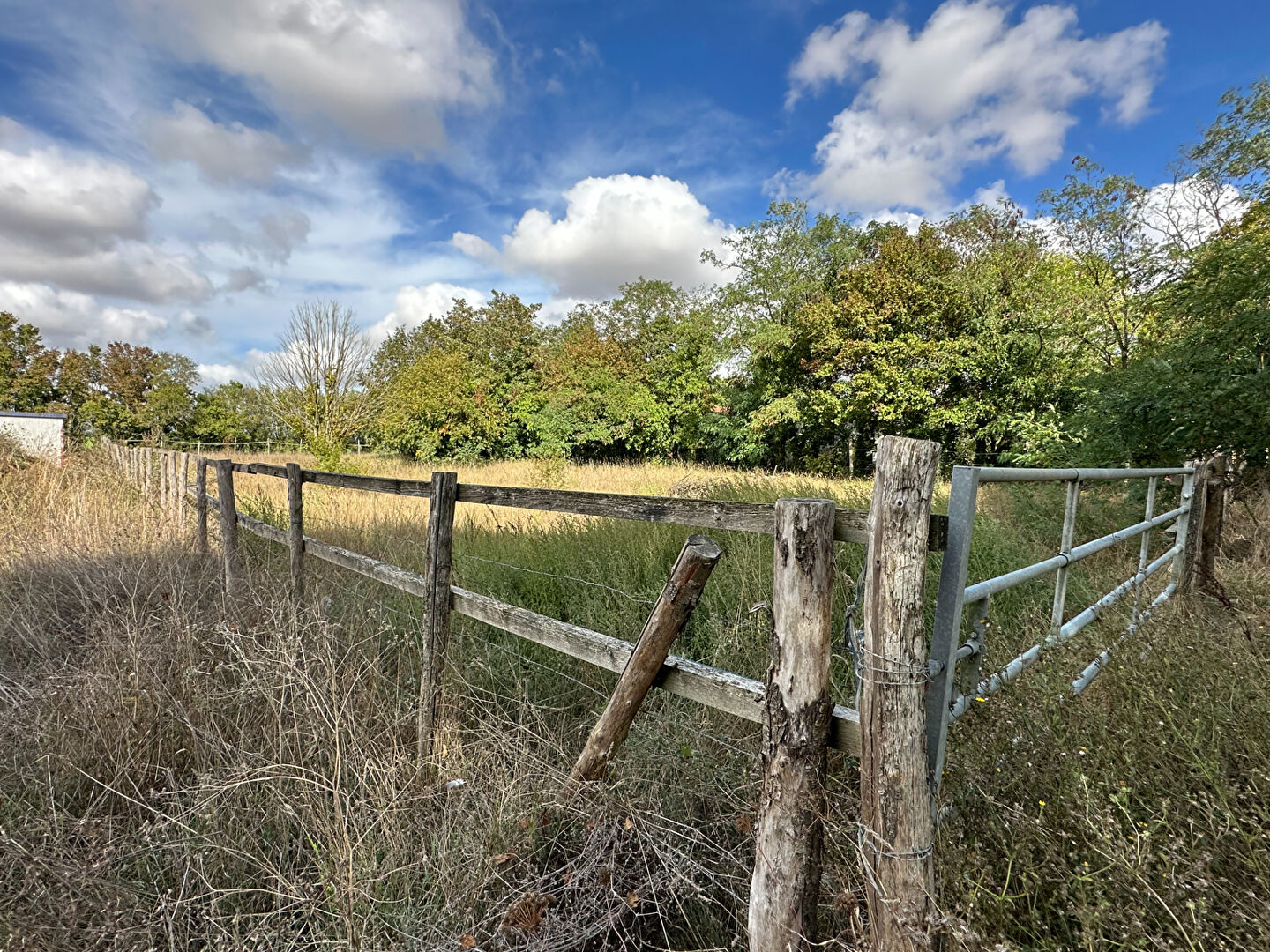 Terrain NALLIERS (85370) 3293.00 m²