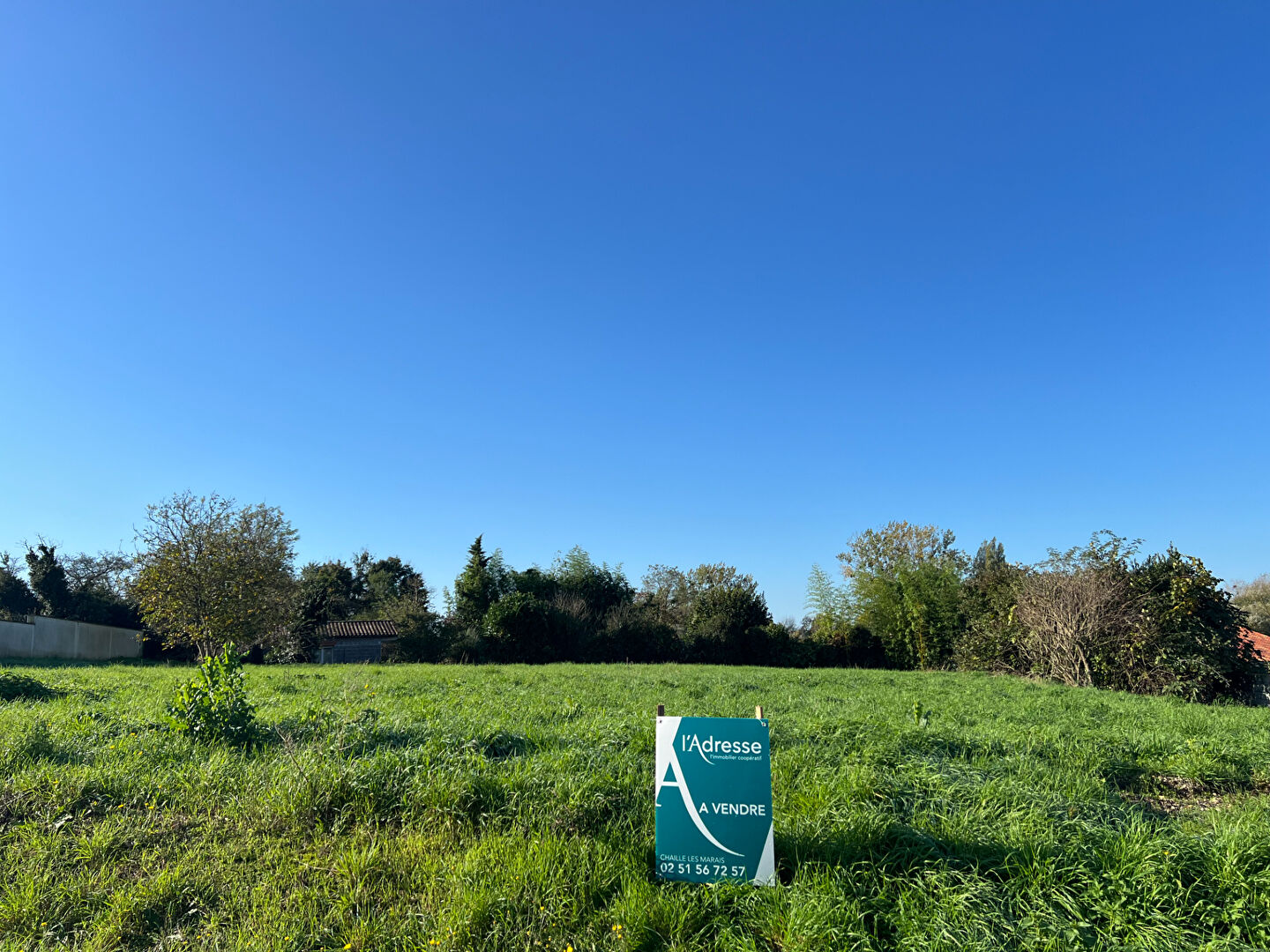 Terrain MOUZEUIL SAINT MARTIN (85370) 1732.00 m²