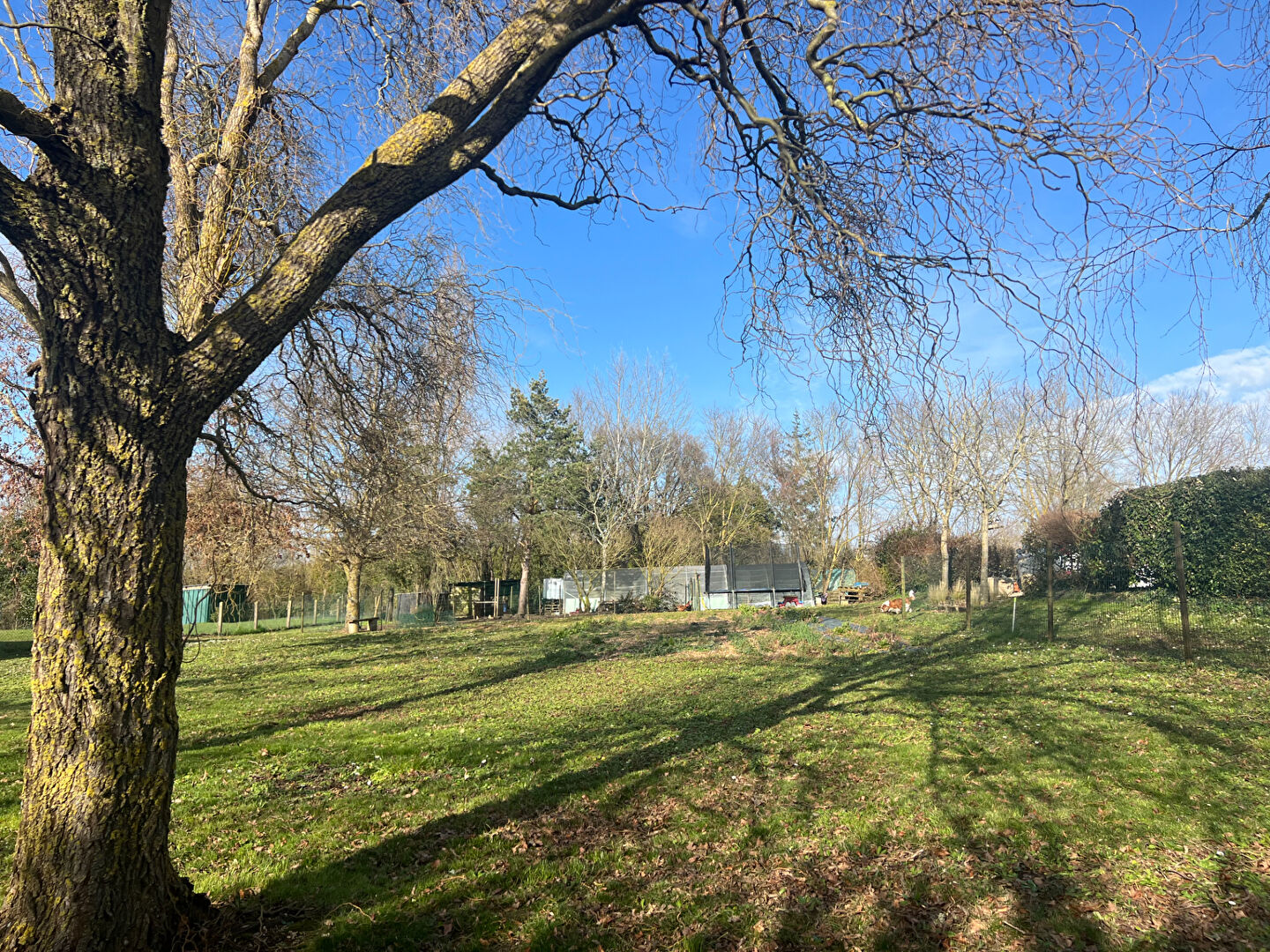 Terrain LE GUE DE VELLUIRE (85770) 1273.00 m²