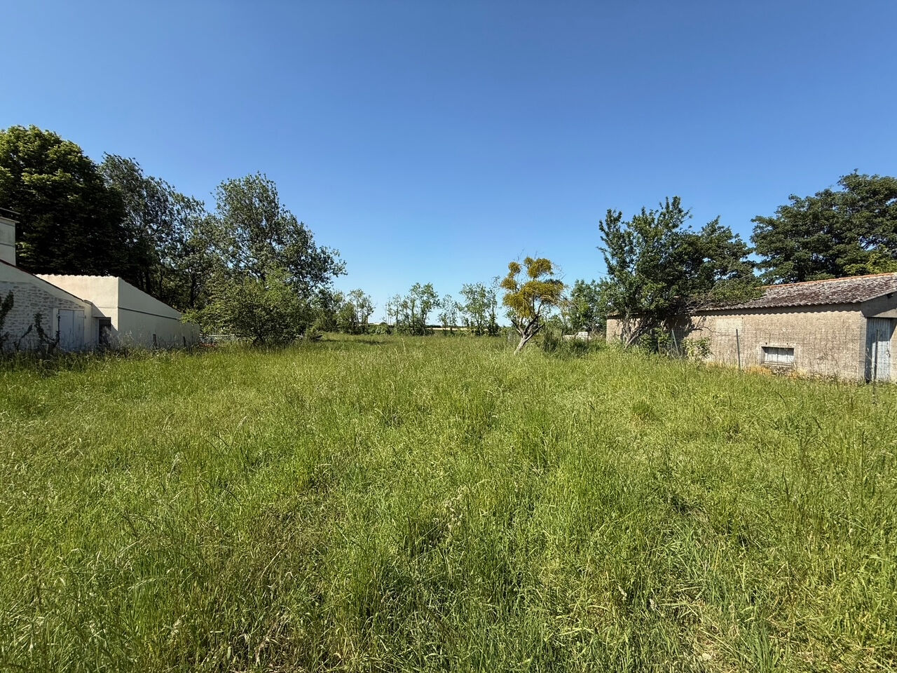 Terrain LE POIRE SUR VELLUIRE (85770) 638.00 m²