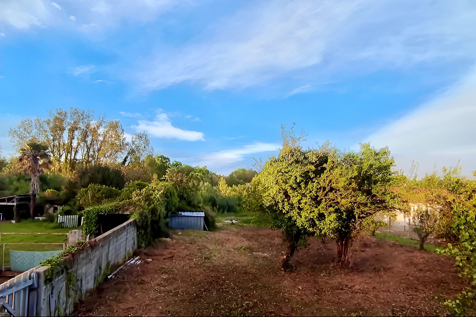 Terrain CHAILLE LES MARAIS (85450) 2316.00 m²