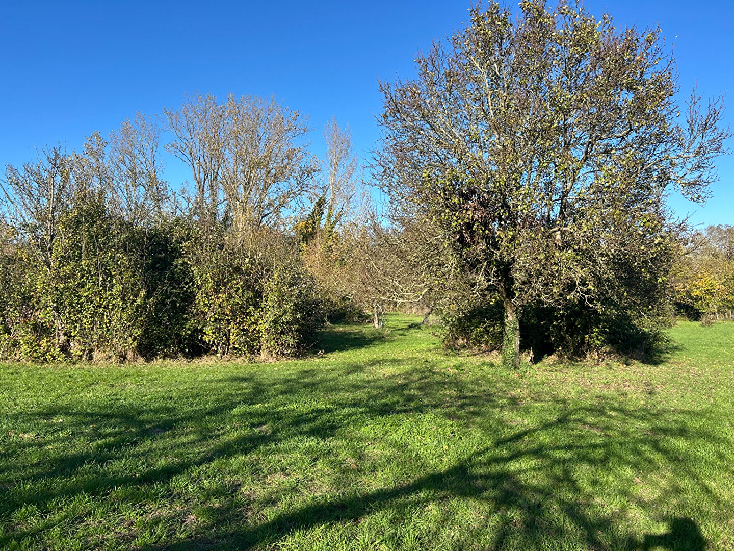 Terrain CHAILLE LES MARAIS (85450) 1648.00 m²