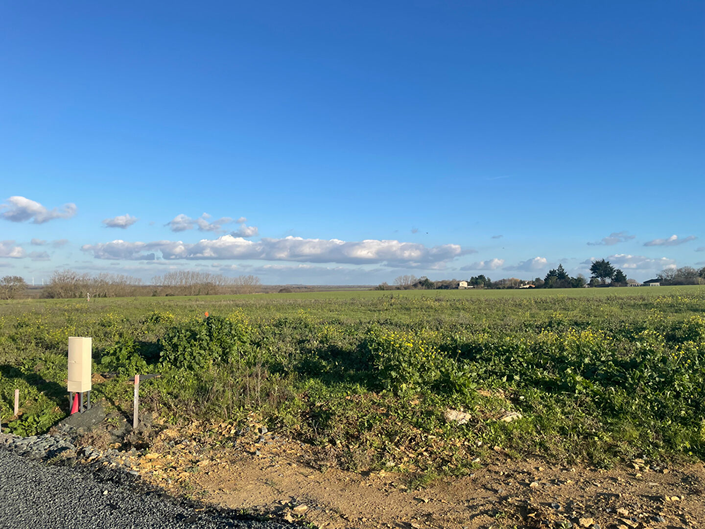 Terrain CHAILLE LES MARAIS (85450) 419.00 m²