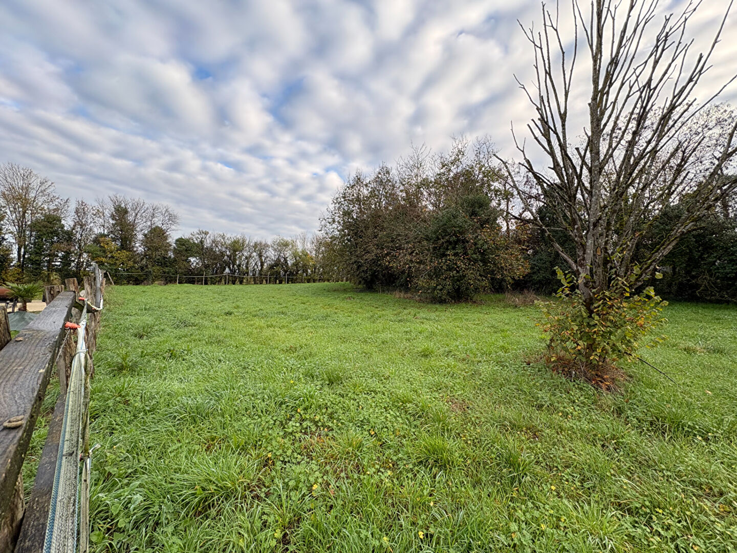 Terrain NALLIERS (85370) 1800.00 m²