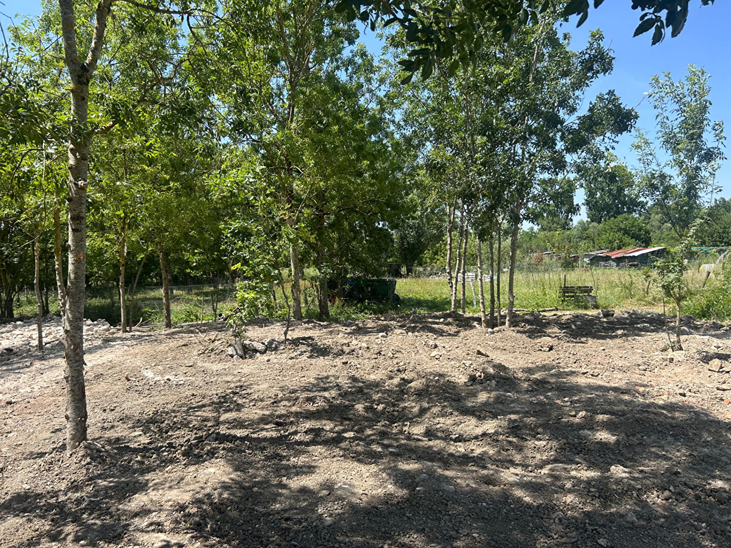 Terrain LA TAILLEE (85450) 2780.00 m&sup2;