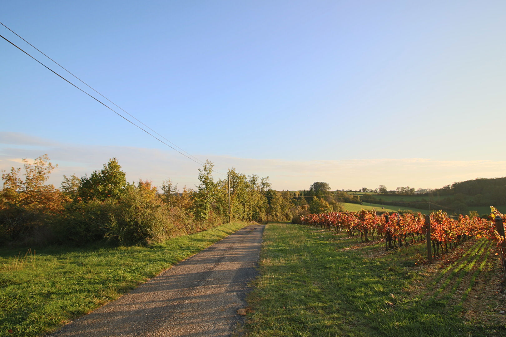 Terrain PRAYSSAC (46220) 9856.00 m&sup2;