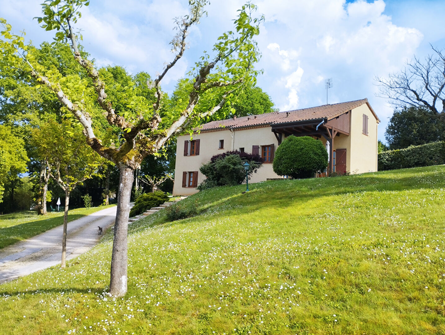 Maison PUY L EVEQUE (46700) 6 pièces 150.00 m²