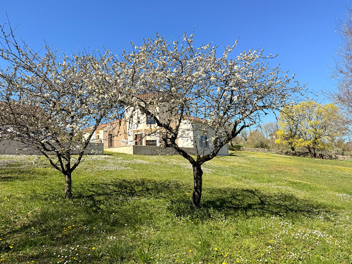 Maison saint VINCENT RIVE D OLT (46140) 4 pièces 125.88 m²