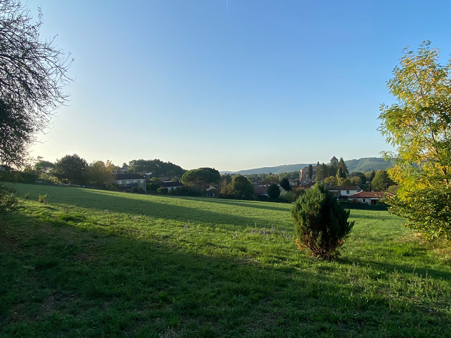 Terrain PUY L EVEQUE (46700) 1599.00 m&sup2;