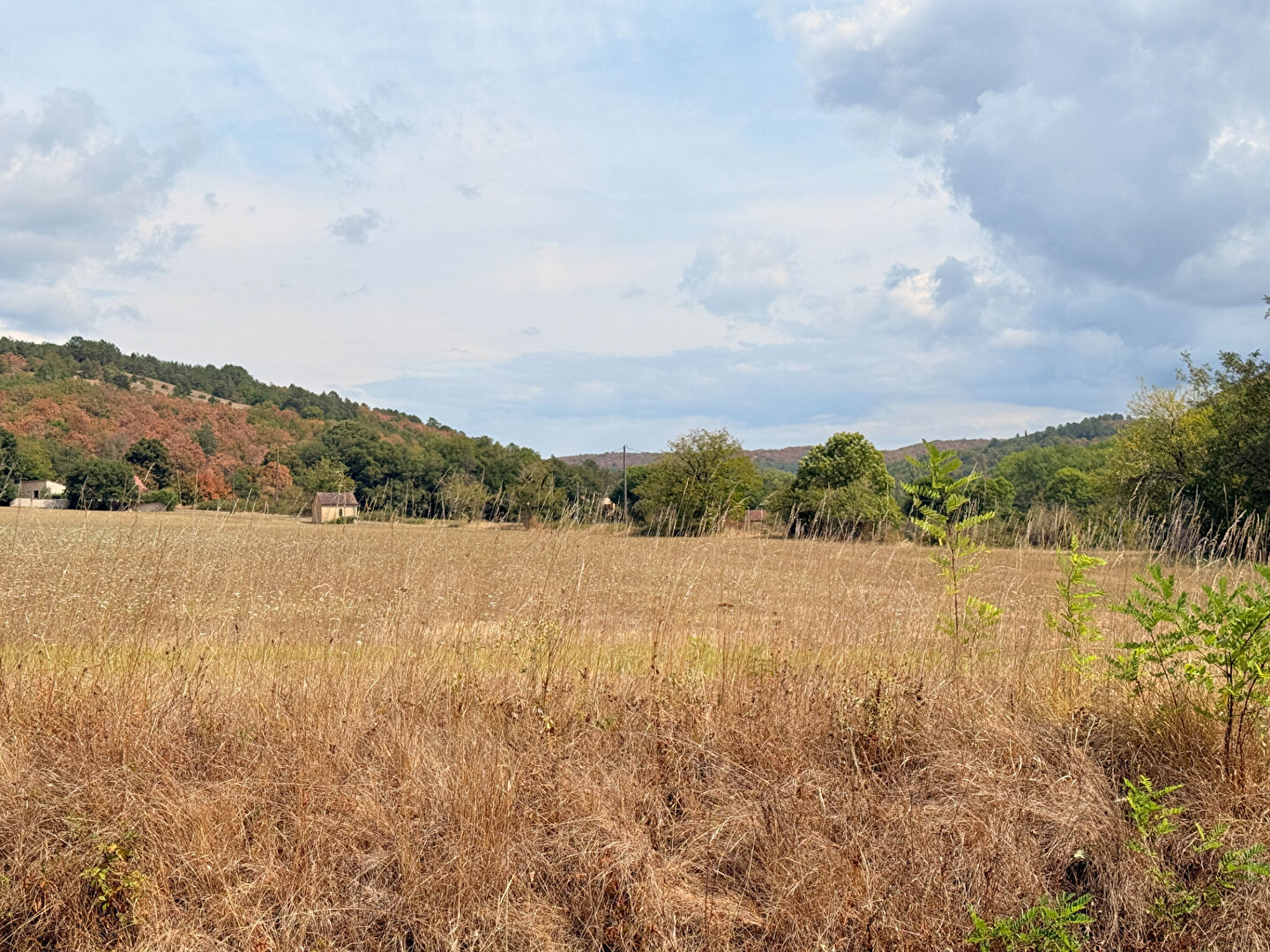Terrain CASTELFRANC (46140) 14935.00 m²