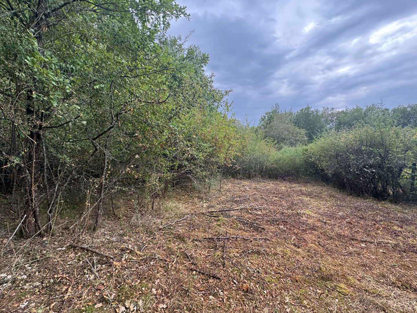 Terrain DURAVEL (46700) 4180.00 m²