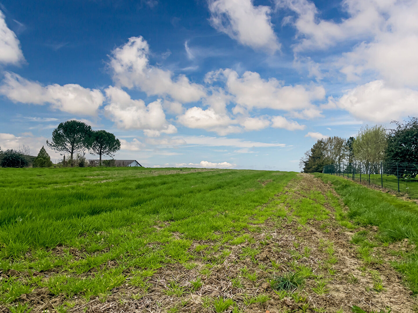 Terrain SAINT AUBIN (47150) 11886.00 m&sup2;