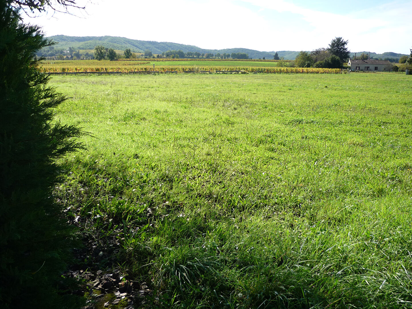 Terrain PUY L EVEQUE (46700) 10440.00 m&sup2;