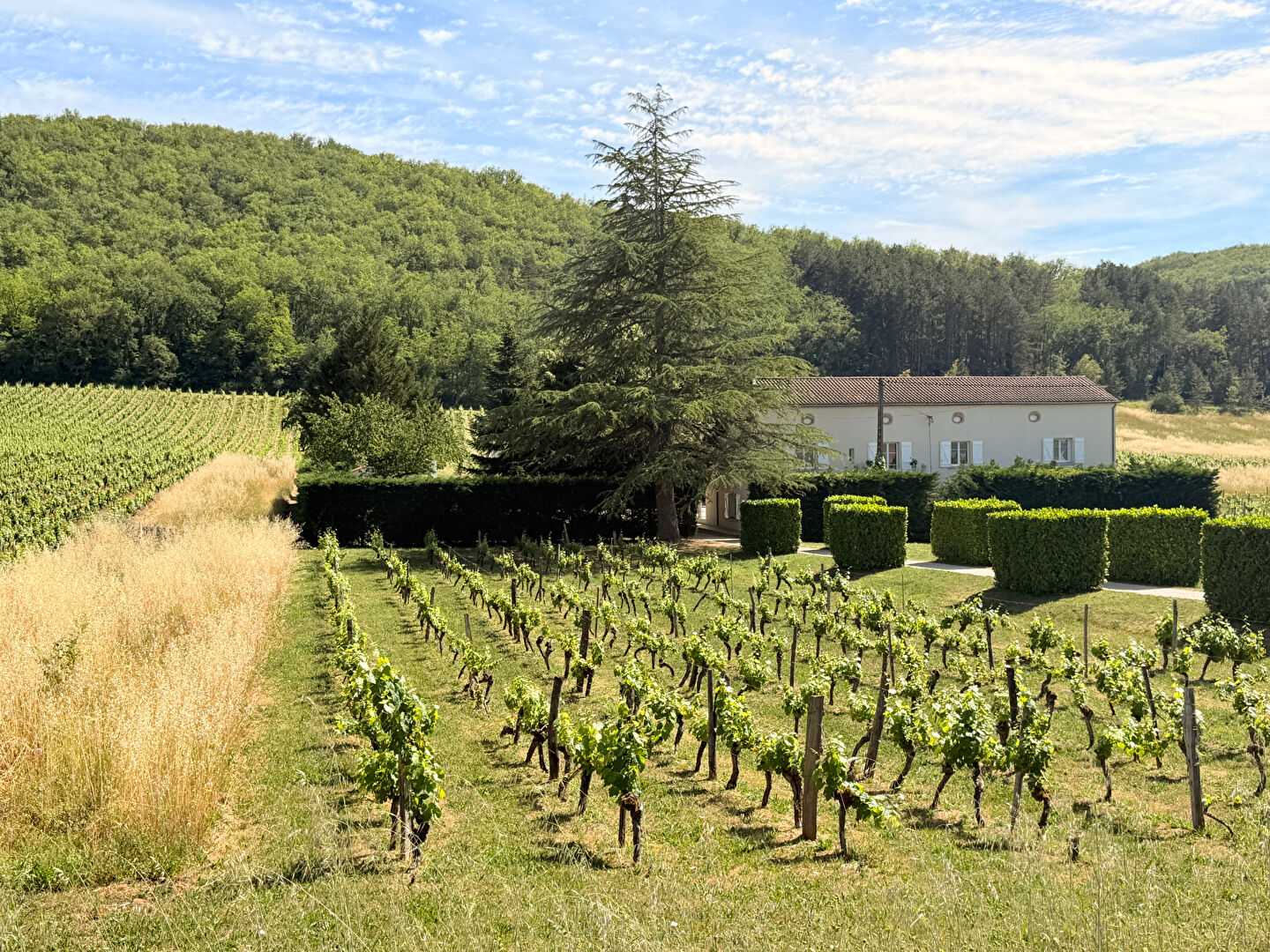 Maison LUZECH (46140) 11 pi&egrave;ces 914.00 m&sup2;