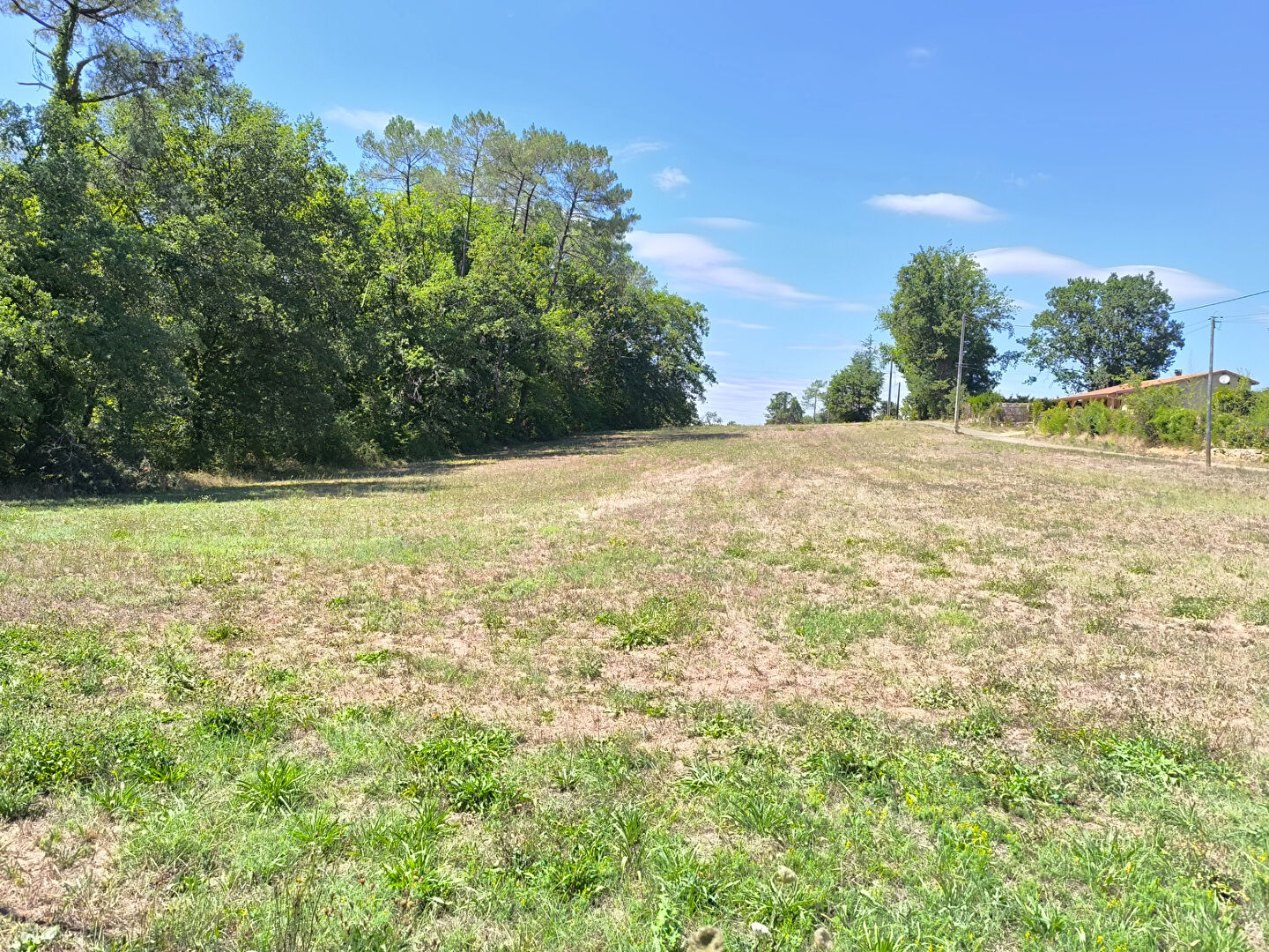 Terrain POMAREDE (46250) 6694.00 m&sup2;