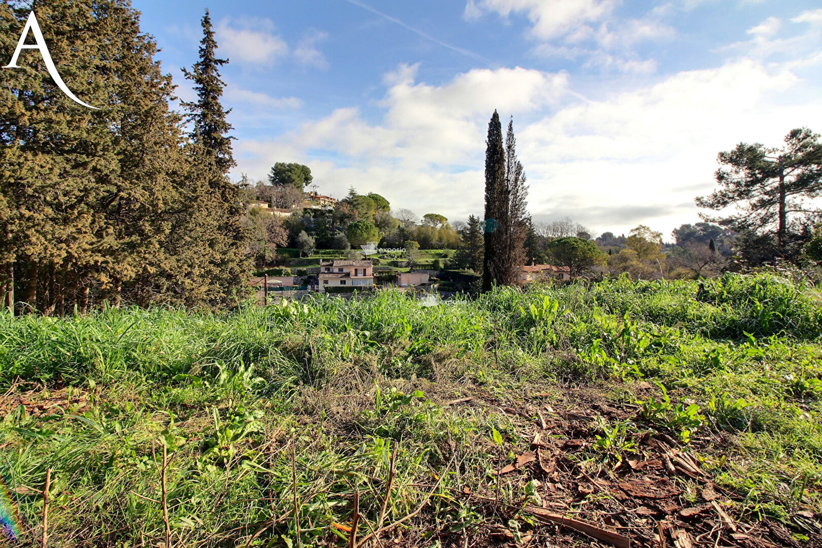 Terrain MOUGINS (06250) 1156.00 m&sup2;