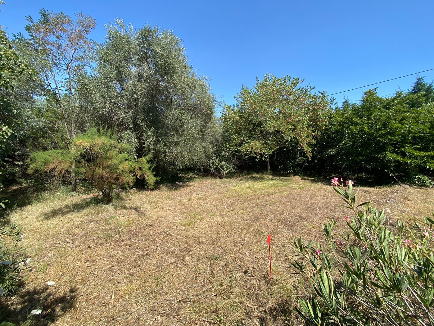 Terrain GRASSE (06130) 925.00 m²